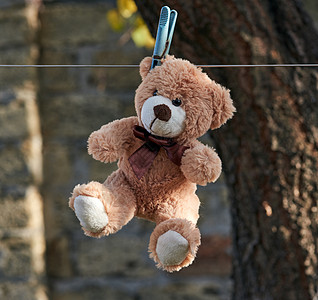 真人夹娃娃老泰迪熊挂在衣绳上衣夹童年动物棕色孩子毛皮玩具乐趣白色娃娃背景