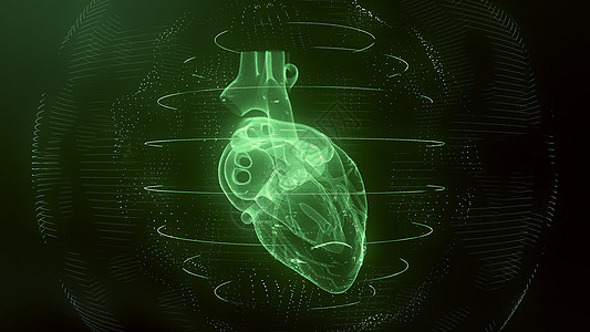 解剖学上正确的绿色数字人类心脏 未来粒子心脏 sca图片