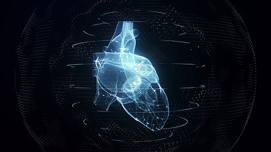 解剖学上正确的蓝色数字人类心脏 未来粒子心脏 sca诊断实验室扫描心电图展示扫描器技术疾病循环渲染图片