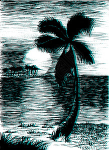 与 pal 的矢量热带夏季插画冲浪假期旅行海滩墙纸棕榈衬衫横幅岛屿城市图片
