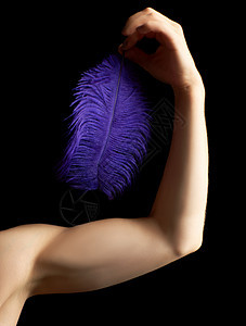 雌性手在肘部弯曲 并握着蓝色羽毛图片