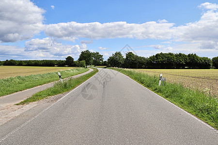 田地和树林的乡村道路风景美丽蓝色木头踪迹天空森林场地树木远足小路街道图片