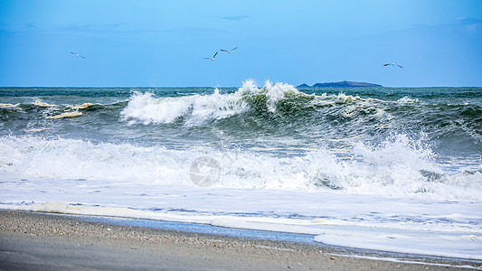 海滩海鸥风雨如磐的海洋风景背景飞溅天空海浪海滩沿海运动蓝色海鸥天气风暴背景