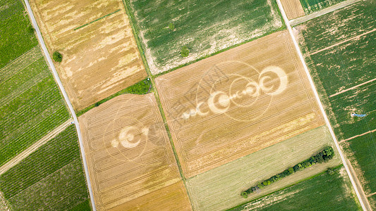 麦田圈领域阿尔萨斯法郎植被场地编队小麦地面外星人攻击绿色飞碟植物图片