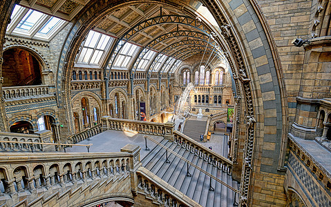 联合王国伦敦自然历史博物馆英国伦敦建筑学旅游建筑展示骨骼观光吸引力历史教育旅行图片