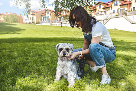 狗的主人在公园里走着他美丽的狗Schnauser 近视 爱动物的概念 最好的朋友快乐舌头房子友谊宠物女士遛狗女性女孩闲暇图片