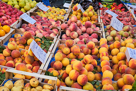 不同种类的桃子橙子食物水果农民团体收成饮食李子树叶市场图片