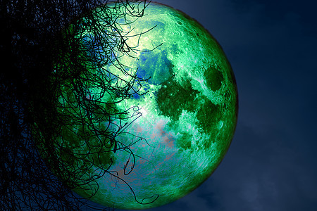 海狸满月 夜空中的圆周光树干枯月球旅行植物月光天空橙子月亮科学阴影日落背景图片