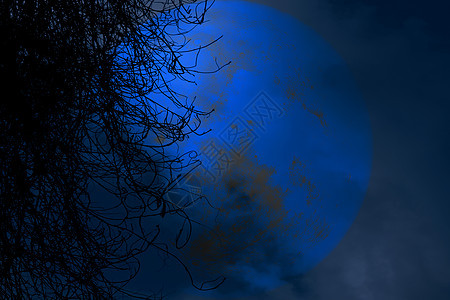 海狸满月 夜空中的圆周光树干枯阴影日落天空月亮月球科学旅行植物橙子月光背景图片