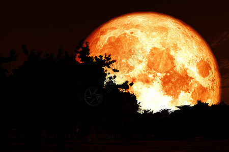 整个猎人月亮的背影和色彩繁多的天空植物旅行日落科学满月橙子月光月球阴影图片