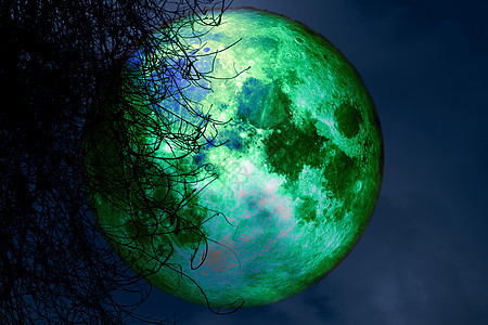 海狸满月 夜空中的圆周光树干枯科学植物天空橙子月球月光阴影旅行日落月亮背景图片