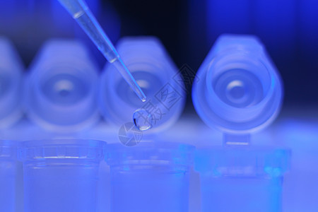 医疗设备 在数个测试t中添加液体的管道管子实验室文化科学家疾病疫苗生物学技术员诊断细胞图片