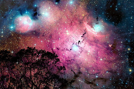 模糊的星系星云回到树上的夜云天空地球森林日落吸引力植物反射轨道星星行星科学图片