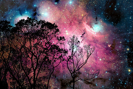 模糊的星系星云回到树上的夜云天空森林反射轨道星星爬坡吸引力植物地球日落行星图片