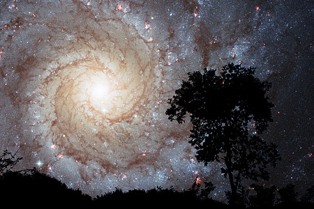夜云日落时的银河星系是模糊的星星森林地球行星植物宇宙星系星云小说天空图片