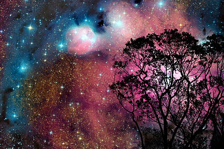 模糊的星系星云回到树上的夜云天空行星科学轨道吸引力森林宇宙小说地球日落植物图片