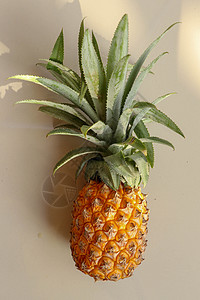 单个整个菠萝热带水果或孤立在白色背景上的凤梨 有叶子的整个凤梨 黄色橙色成熟新鲜的菠萝 一种奇异的热带水果 一个完整的菠萝工作室图片