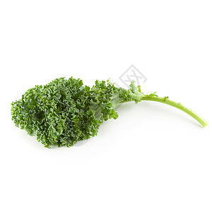 清新有机绿色甘蓝树叶 白背景隔绝蔬菜情调草本植物纤维异国植物沙拉药品食物饮食图片