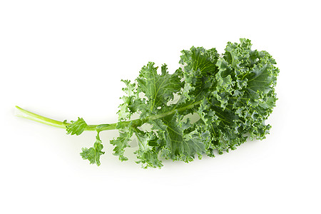 清新有机绿色甘蓝树叶 白背景隔绝食物美食维生素纤维营养沙拉情调饮食叶子蔬菜图片