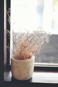 木窗上的花瓶中的干植物花朵花束房子木头薰衣草植物群季节蓝色环境桌子叶子图片