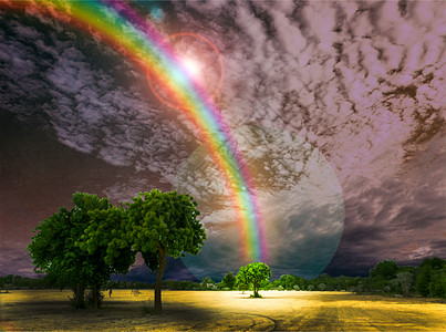 愿真主保佑彩虹 黑暗和公园的天空树图片