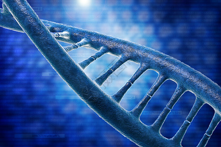 美丽背景下的 DNA 分子医疗生活科学技术框架药品蓝色细胞染色体遗传图片