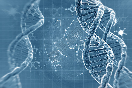 美丽背景上的 DNA 分子药品插图螺旋数字化化学框架生物学生活基因组细胞图片