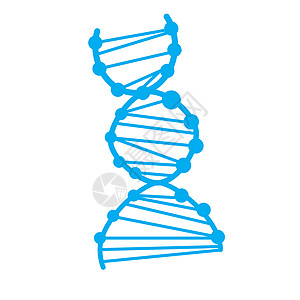 白色背景上的 dna 图标  dna 标志 平面样式  dna 图标 fo医疗插图网络技术按钮药品遗传染色体曲线克隆图片