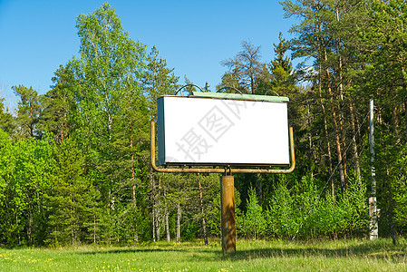 绿色森林背景上的白色广告牌 适合做广告 空白广告牌和户外广告 森林外的白色样机海报图片