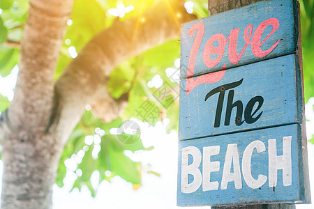 喜欢木板上的海滩字 挂在夏日海滩旁的树上图片