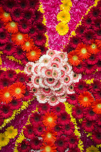 葡萄牙自来月花盛宴花节热带文化花卉传统节日背景图片