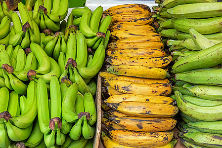 不同种类的香蕉销售品图片