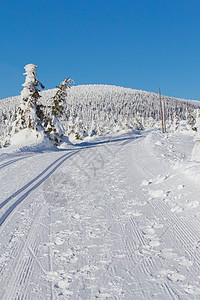 冬季山地风景 以跨国家滑雪方式图片