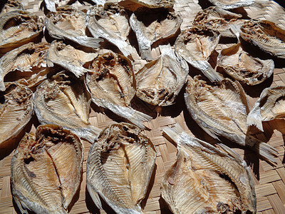 具有自然背景的咸鱼干燥过程 生鱼 印度尼西亚语 爪哇语 称为 ikan balur 它是印度尼西亚传统的著名配菜食品季节干鱼盐渍图片