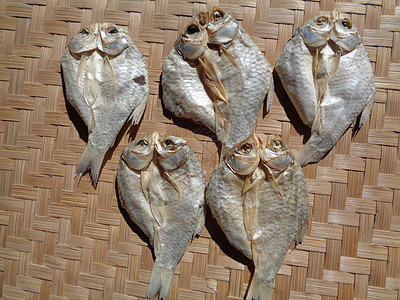 具有自然背景的咸鱼干燥过程 生鱼 印度尼西亚语 爪哇语 称为 ikan balur 它是印度尼西亚传统的著名配菜盐渍饮食市场季节图片