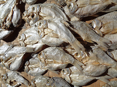 具有自然背景的咸鱼干燥过程 生鱼 印度尼西亚语 爪哇语 称为 ikan balur 它是印度尼西亚传统的著名配菜热带食品海滩美食图片