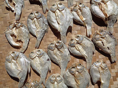 具有自然背景的咸鱼干燥过程 生鱼 印度尼西亚语 爪哇语 称为 ikan balur 它是印度尼西亚传统的著名配菜食品美食市场钓鱼图片