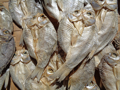 具有自然背景的咸鱼干燥过程 生鱼 印度尼西亚语 爪哇语 称为 ikan balur 它是印度尼西亚传统的著名配菜季节农村饮食钓鱼图片