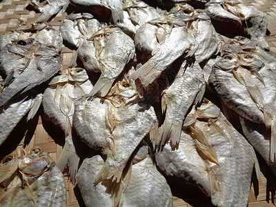 具有自然背景的咸鱼干燥过程 生鱼 印度尼西亚语 爪哇语 称为 ikan balur 它是印度尼西亚传统的著名配菜热带美食农村季节图片