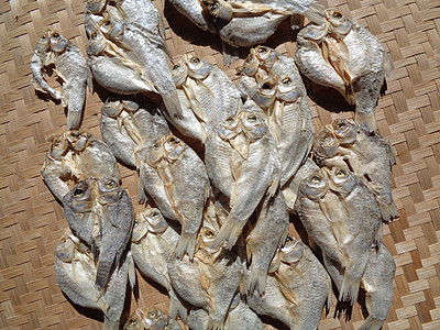 具有自然背景的咸鱼干燥过程 生鱼 印度尼西亚语 爪哇语 称为 ikan balur 它是印度尼西亚传统的著名配菜季节薯条农村营养图片