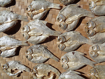 具有自然背景的咸鱼干燥过程 生鱼 印度尼西亚语 爪哇语 称为 ikan balur 它是印度尼西亚传统的著名配菜钓鱼干鱼健康饮食图片