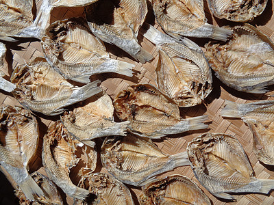 具有自然背景的咸鱼干燥过程 生鱼 印度尼西亚语 爪哇语 称为 ikan balur 它是印度尼西亚传统的著名配菜热带海滩农村食品图片