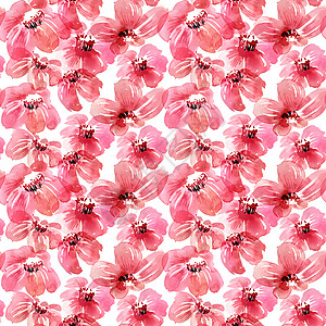 水彩花卉花纹李子树苗繁荣插图植物艺术花瓣艺术品绘画墨水图片