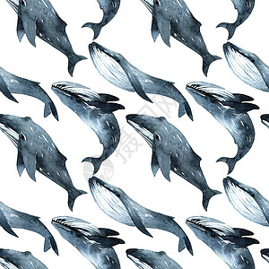 鲸鱼水彩色插图游泳蓝色草图墙纸荒野海洋海上生活绘画艺术水彩图片