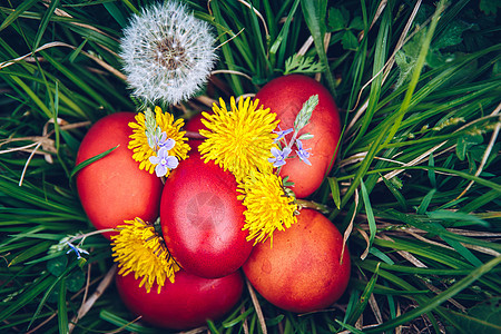 草地上的红东鸡蛋 花和吹球 春天传统庆典阳光晴天宗教黄色篮子假期花园花朵图片