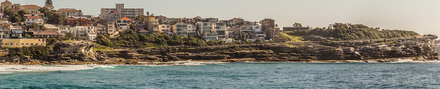 Sydn南岸悬崖旁看到的布朗特海滩全景住房公寓图片