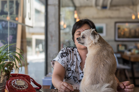 咖啡店咖啡厅中的亚洲妇女和狗椅子幸福友谊动物训练玻璃美丽女孩女士女性图片