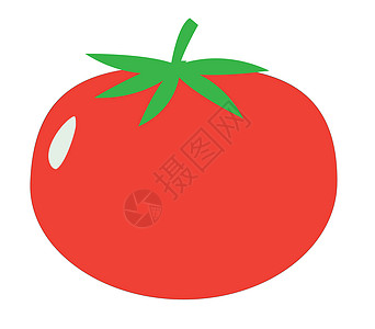 番茄标志 白色背景上的番茄图标 扁平化设计卡通片网络水果食物插图植物纤维绘画生态饮食图片