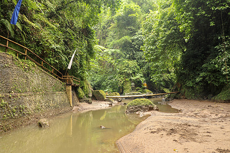 印度尼西亚Babrainese丛林河上桥农村小路瑜伽环境下雨沼泽热带苔藓异国植被图片