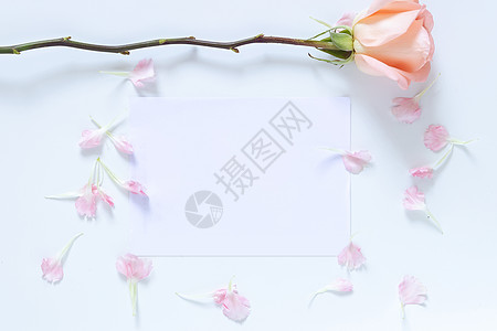 模拟邀请卡与玫瑰和粉红色的花瓣作为边框 带复制空间的空空白白卡图片